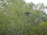 Vögel sind recht zahlreich hier