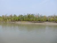 unterwegs in den Sundarbans