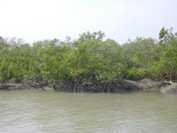 unterwegs in den Sundarbans