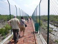 alle Wege für Touristen zw. zu den Aussichtstürmen sind zum Schutz eingezäunt