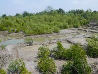 Blick vom Aussichtsturm