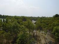 Blick vom Aussichtsturm