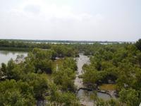 Blick vom Aussichtsturm