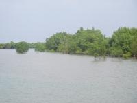 Flut in den Sundarbans
