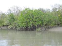 das Wasser geht wieder zurück ... 