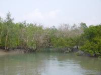 das Wasser geht wieder zurück ... 