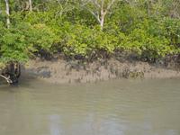 das Wasser geht wieder zurück ... 