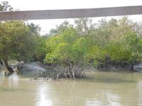 das Wasser geht wieder zurück ... 