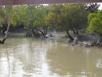 das Wasser geht wieder zurück ... 