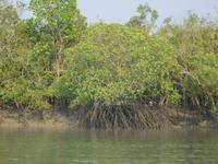 das Wasser geht wieder zurück ... 