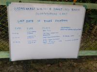 an den Stützpunkten der Sundarban-Verwaltung werden alle Tiger-Sichtungen vermerkt