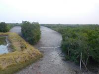 Blick vom Aussichtsturm