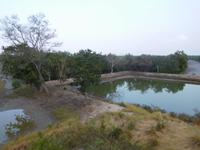 Blick vom Aussichtsturm