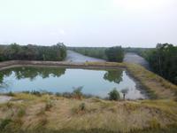 Blick vom Aussichtsturm