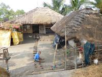 typischer Sundarban-Hof