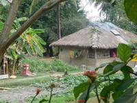 typischer Sundarban-Hof
