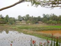 Blick ins Sundarban-Dorf