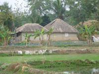 Blick ins Sundarban-Dorf