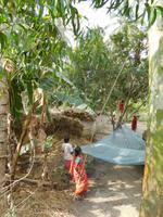 Frauen am Dreschplatz