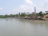 Aufregung: da ist ein riesiges Krokodil!