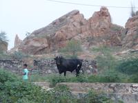 025. Kalwar - Dorfspaziergang