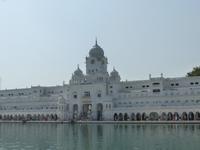 295. Amritsar - Goldener Tempel