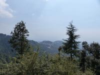 400. Dharamsala - McLeodganj