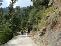 401. Dharamsala - McLeodganj