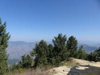 438. Shimla - Kufri Bergstation