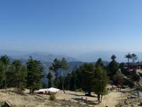 439. Shimla - Kufri Bergstation