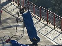 453. Shimla - Jakhu Tempel