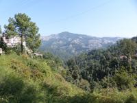 482. Schmalspurbahn Shimla