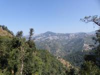 484. Schmalspurbahn Shimla