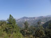 485. Schmalspurbahn Shimla