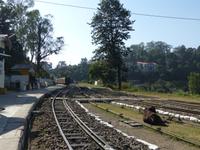 498. Schmalspurbahn Shimla