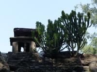 514. Chandigarh - Steingarten