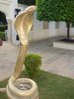 Beschützer unseres Hotels in Gwalior