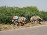 Auf dem Wege nach Khajuraho