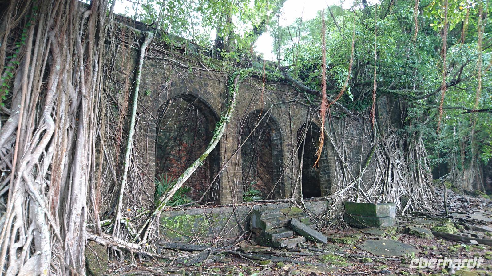 Die Natur holt sich die verfallenen Häuser der Engländer aud Ross Island wieder