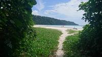 Zum Strand auf Havelock Island