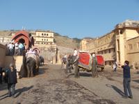 Elefantenritt zum Amber Fort