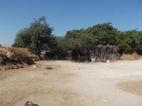 Gehöft im Bishnoi-Dorf