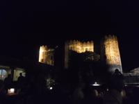 unser Hotel: Burg von Khejrala