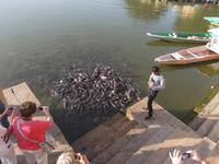 am heiligen Gadi Sagar See von Jaisalmer