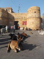 äußeres Eingangstor zur Zitadelle von Jaisalmer