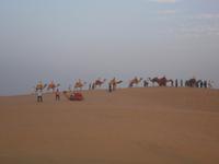 abendlicher Kamelritt in der Wüste Thar