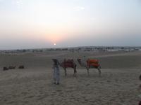 Sonnenuntergang in der Thar-Wüste