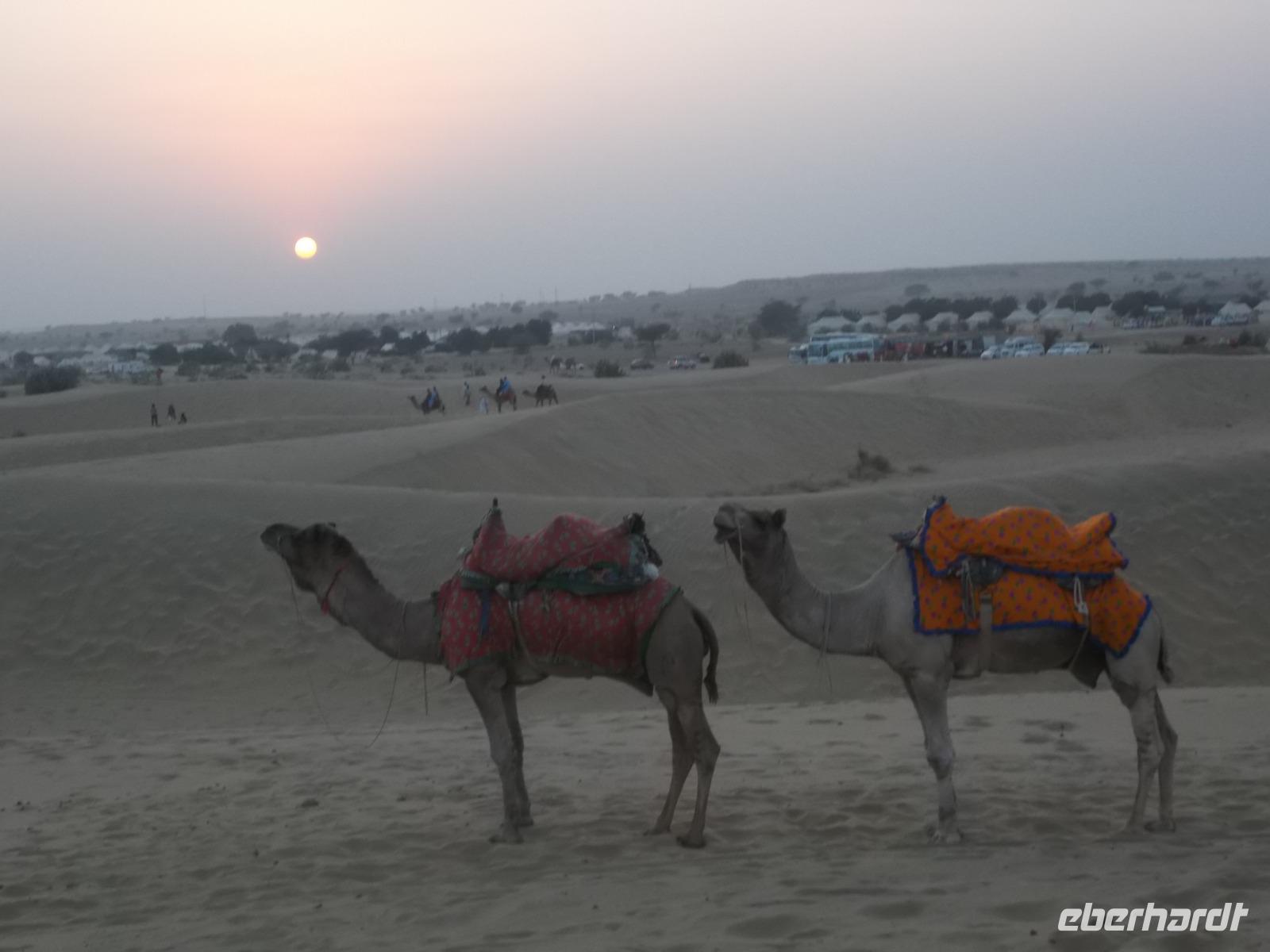 Sonnenuntergang in der Thar-Wüste