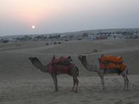 Sonnenuntergang in der Thar-Wüste