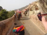 Unterwegs zum Amber Fort in Jaipur